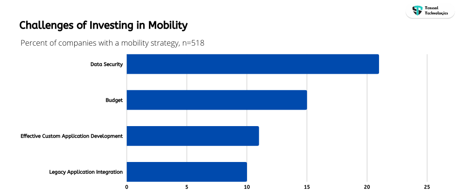Challenges of Investing in Mobility
