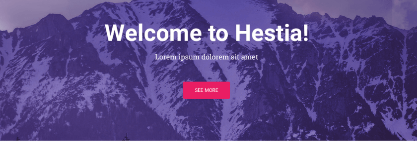 Best WordPress Theme