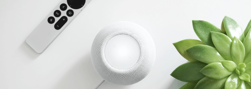 Voice Search